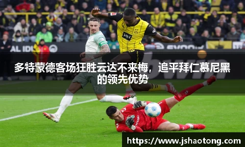 凤凰联盟平台