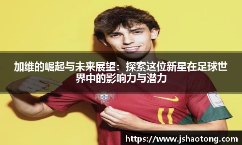 凤凰联盟平台
