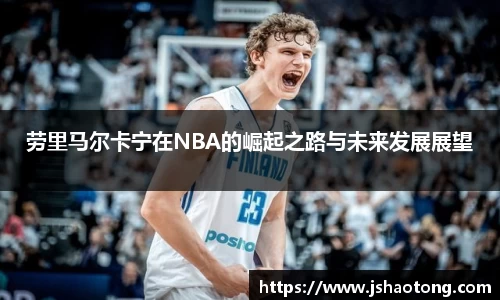凤凰联盟平台